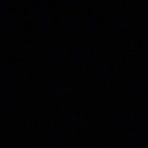 Meet your Posher, Riley